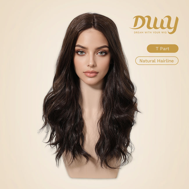 Nola H-DWY T-Part Lace Wig Long Curly Wigs Brown with Highlights Glueless Synthetic Wig