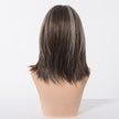 Elysia H-DWY Mid-Length Straight Brown with Highlights Glueless Synthetic Wig