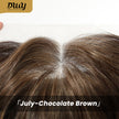 July-NEW! DWY 13×6 Free Part Lace Front Long-Length Curly Ombre Brown with Highlights Glueless Synthetic Wig