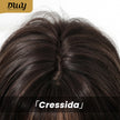Cressida-DWY Straight Layer-cut with White Highlights and Bangs Glueless Synthetic Wig