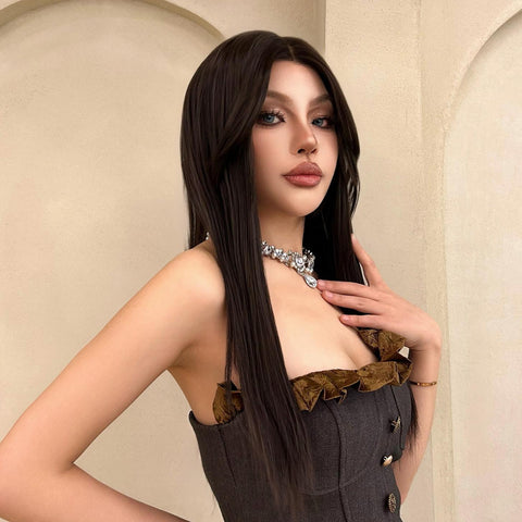 Elaine-DWY Lace Front Long Natural Black Middle Part Glueless Synthetic Wig