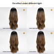 Okley-DWY Mono Lace Front Free Part Long Curly Ombre Brown Synthetic Wig