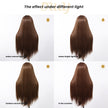 Andrea C- DWY 13x6 Lace Front Wig Glueless Brown Handmade Braiding Heat Resistant Fiber Synthetic Wig