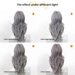 Darcy-DWY Machine Made Long-length Body Wave Grey with White Highlights Large Area Glueless Synthetic Wig for Women 24 Inches
