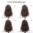 Cocobean-DWY Lace Front 13×6 Free Part Brown With Blonde Highlight Curly Synthetic Wig