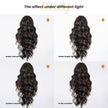 [CLEARANCE SALE] Odalys -DWY New Arrival 13×4 Lace Front Free Part Long-Length Curly Natural Brown with White Highlights Baby Hairline Glueless Synthetic Wig for Women 26 Inches