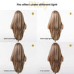 (Us Only)Joanna-DWY 13*6 Freepart Libera  Lace Brown Highlighted Layered Synthetic Wig