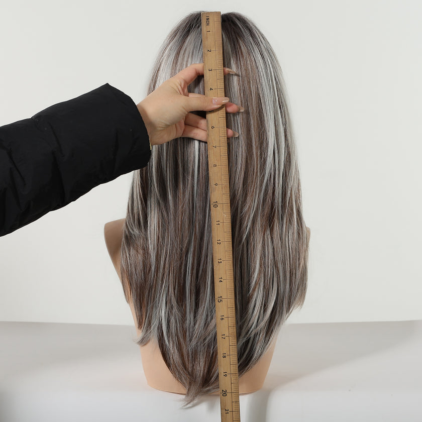 Elara-DWY 22 Inch Silver Grey Balayage Long Layered Wig with Air Bangs | Natural Synthetic Hair for Women | Daily Wear & Versatile Styling