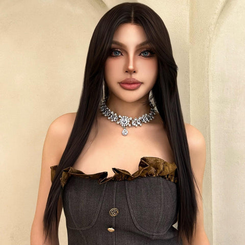 Elaine-DWY Lace Front Long Natural Black Middle Part Glueless Synthetic Wig